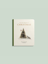 Our Little Adventure at Christmas (Baby's First Christmas)