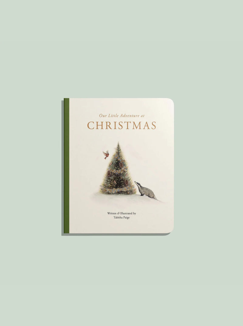 Our Little Adventure at Christmas (Baby's First Christmas)