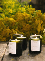 Flamingo Estate Golden Pollinator Candle