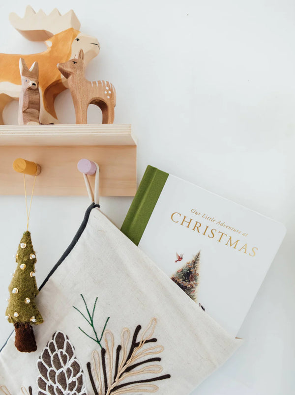 Our Little Adventure at Christmas (Baby's First Christmas)