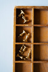 Brass Knobs Oval (L)
