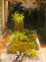 Flamingo Estate Golden Pollinator Candle