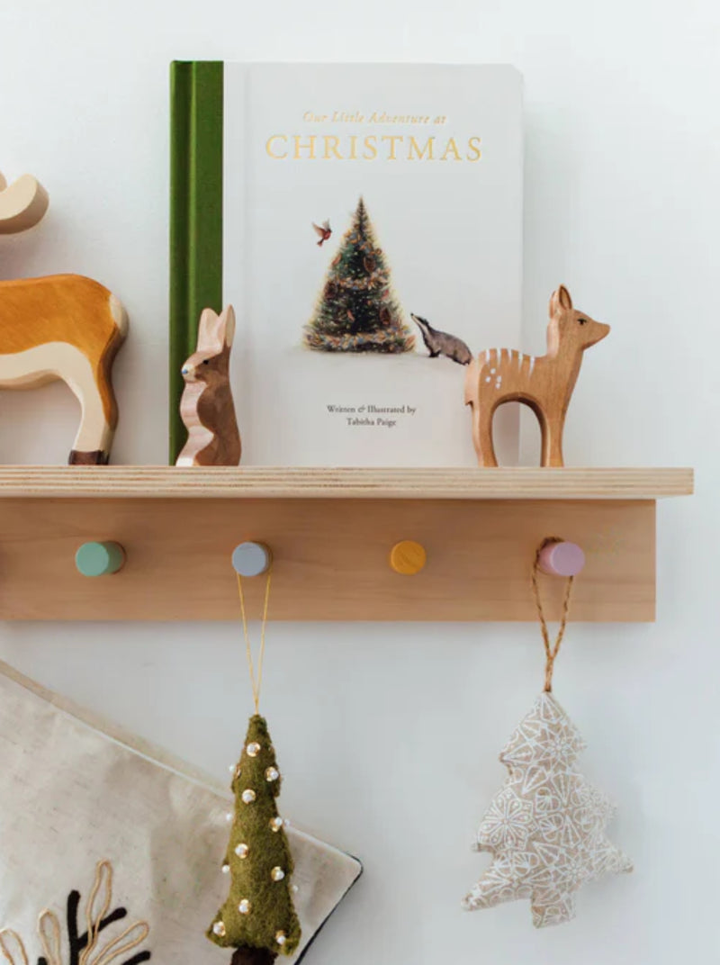 Our Little Adventure at Christmas (Baby's First Christmas)