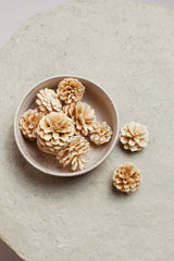 Preserved White Pinecones