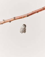 Felted Sheep Ornament