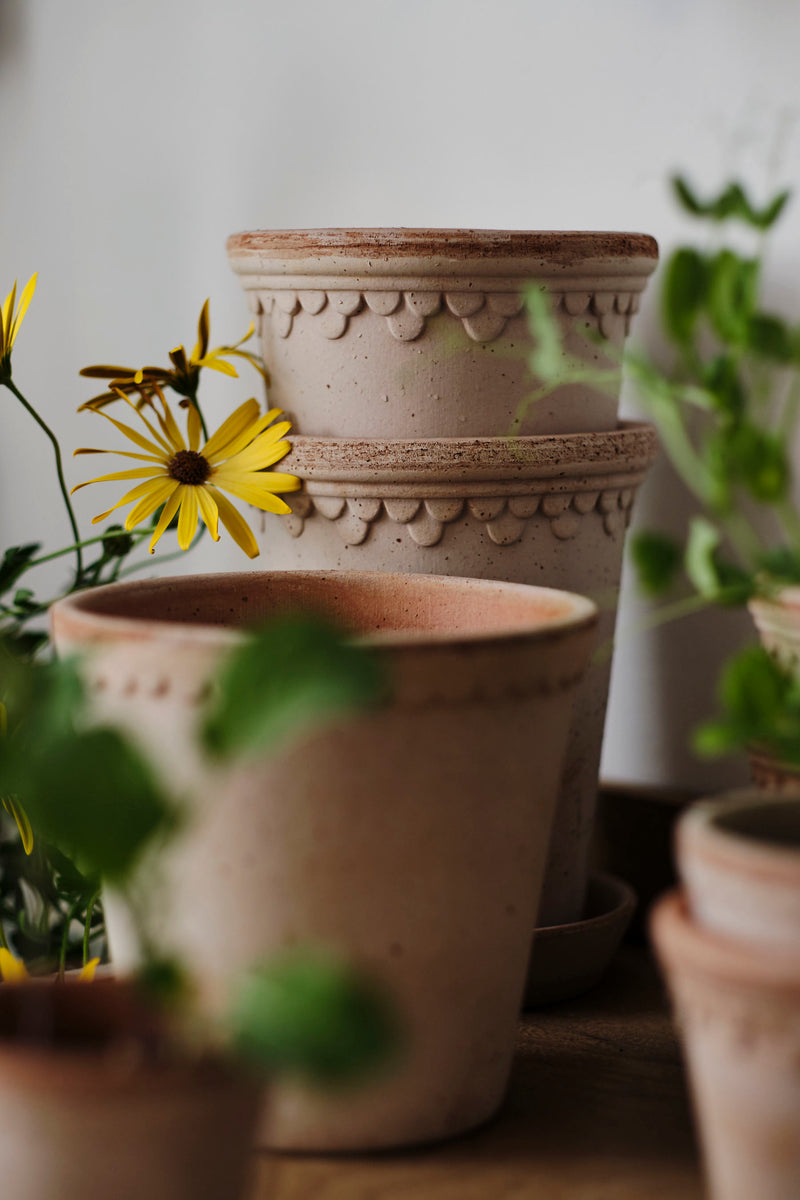 Copenhagen Pot - Antique Rose