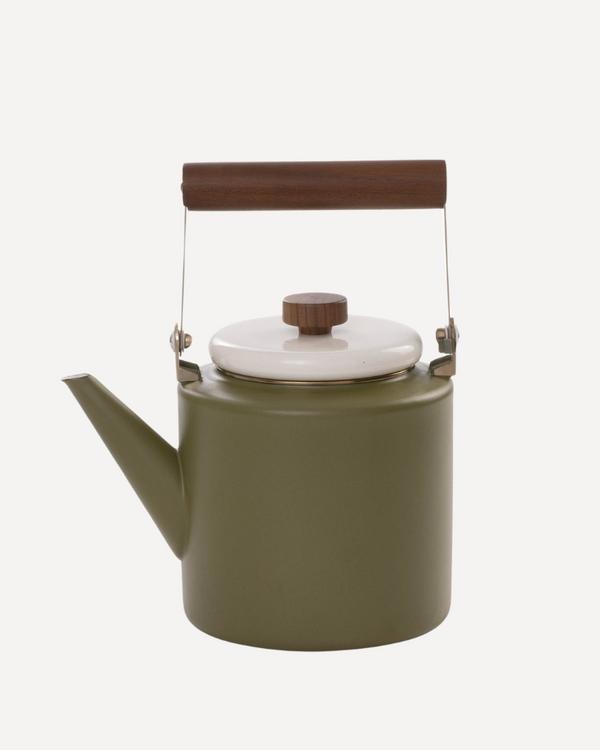 Enamel 2-Tone Kettle