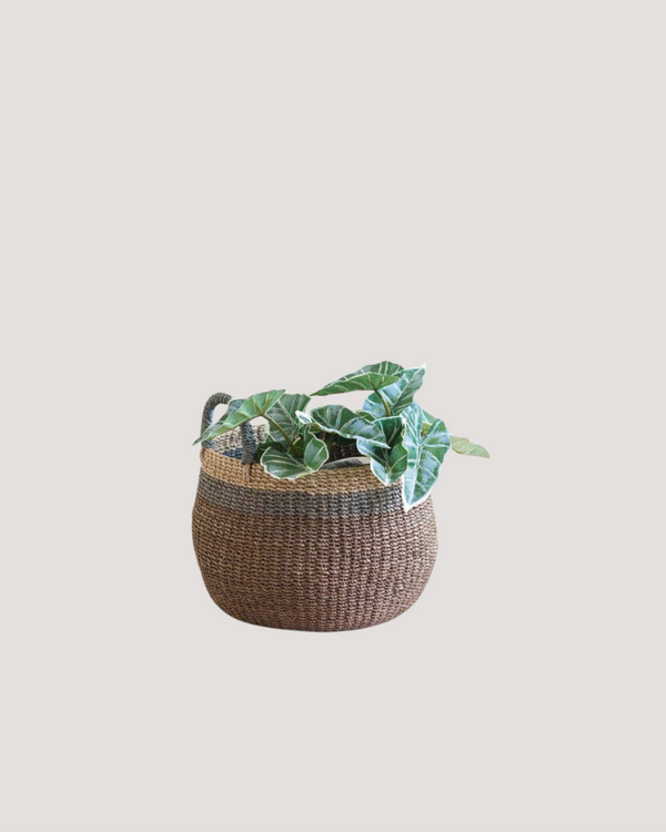 Handwoven Basket with Handle - Brown Stripe