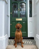 Beverly - Paint No. 310