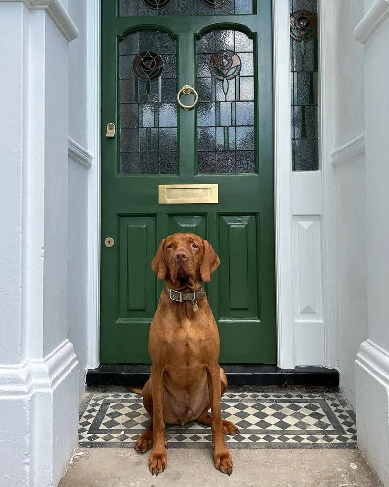 Beverly - Paint No. 310