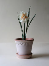 Copenhagen Pot - Antique Rose