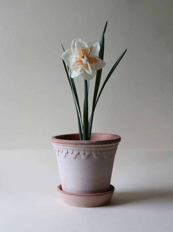Copenhagen Pot - Antique Rose