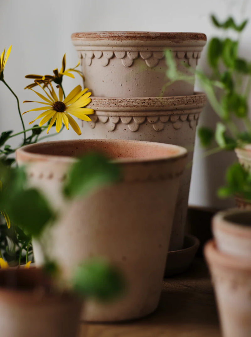 Copenhagen Pot - Antique Rose