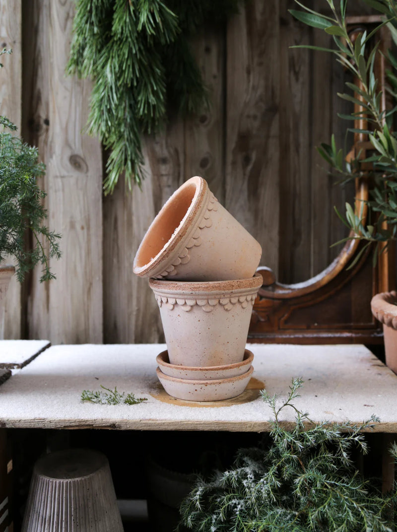 Copenhagen Pot - Antique Rose
