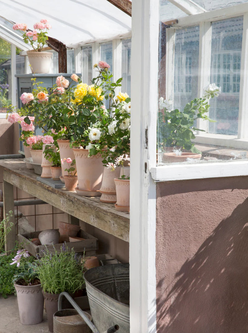 Copenhagen Pot - Antique Rose