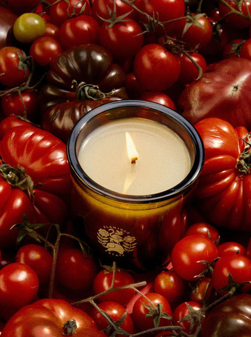 Flamingo Estate Roma Heirloom Tomato Candle