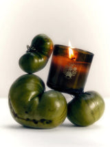 Flamingo Estate Roma Heirloom Tomato Candle