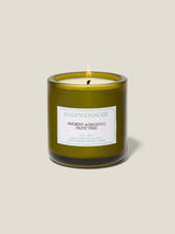 Flamingo Estate Ancient Agrigento Olive Tree Candle