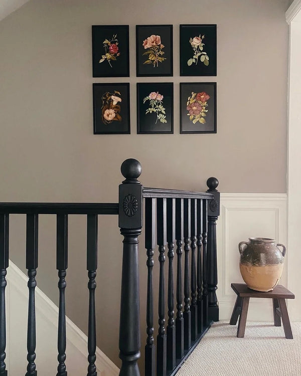 Hardwick White - Paint No. 5