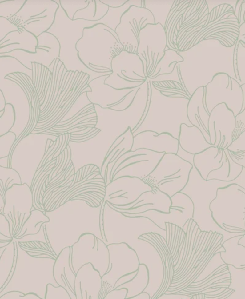 Helleborus Wallpaper