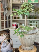 Vintage French Planter No.12