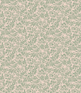 Jasmine Wallpaper