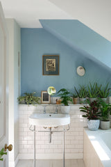 Kittiwake - Paint No. 307