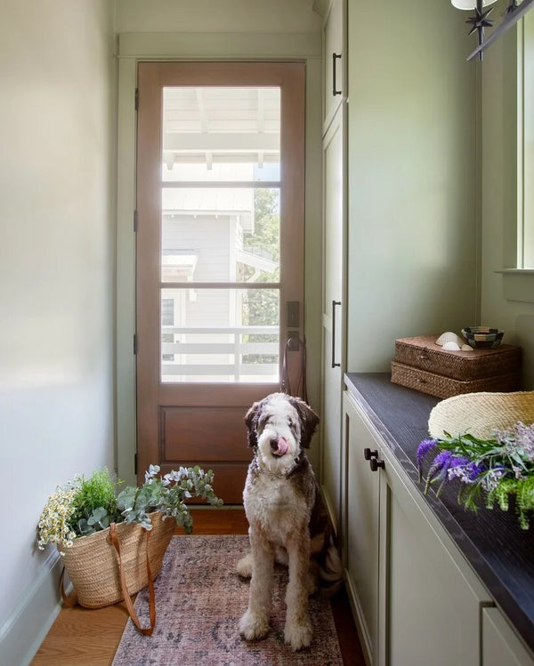 Lichen - Paint No. 19