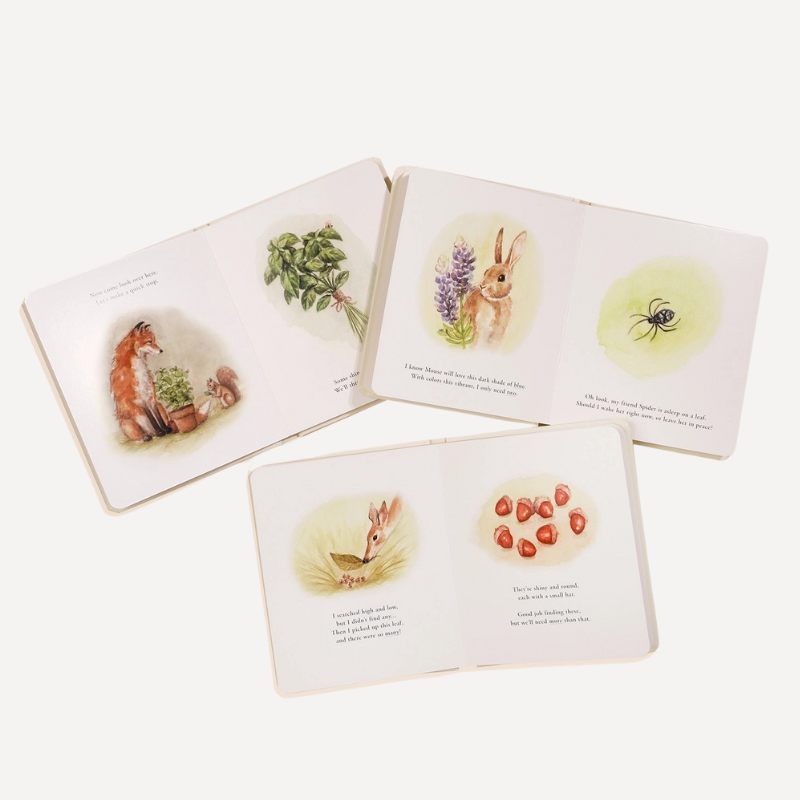 Our Little Adventures — Box Set
