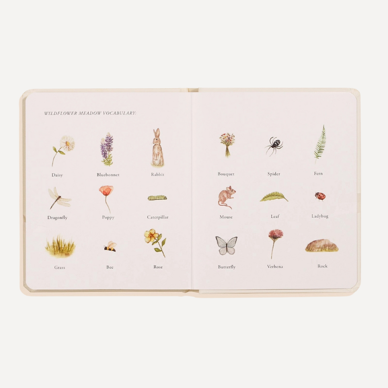 Our Little Adventures — Box Set