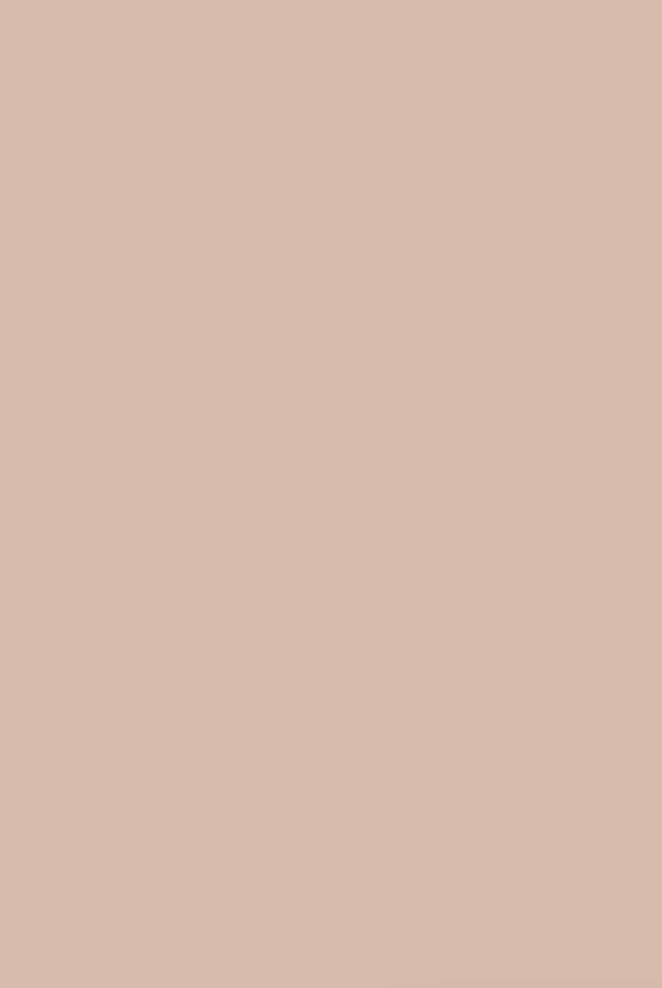 Paint Sample Board - No. 9906 Potted Shrimp