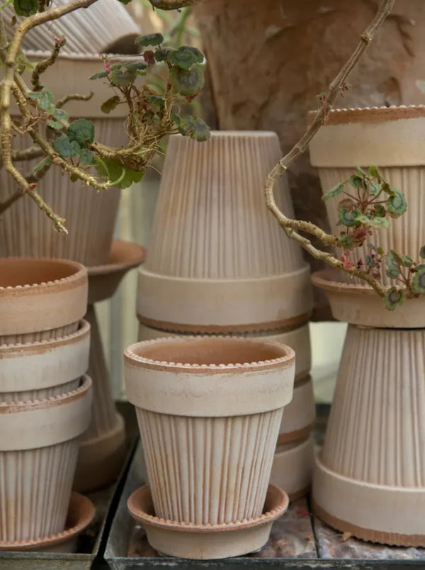 Simone Pot - Antique Rose