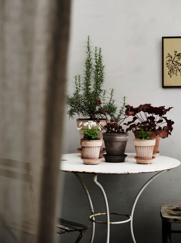 Simone Pot - Antique Rose