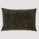 Juniper Velvet Pillow - 16x24 Lumbar
