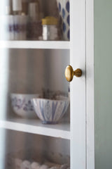 Brass Knobs Oval (L)