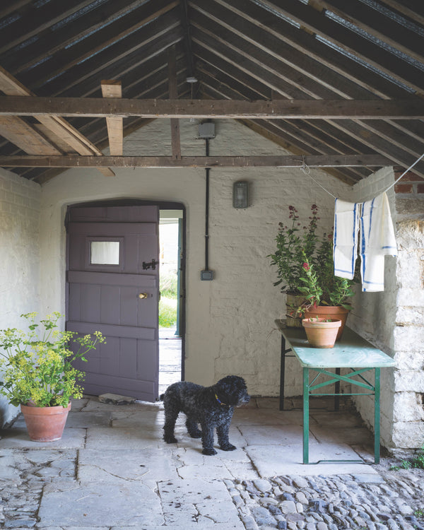 Brassica - Paint No. 271