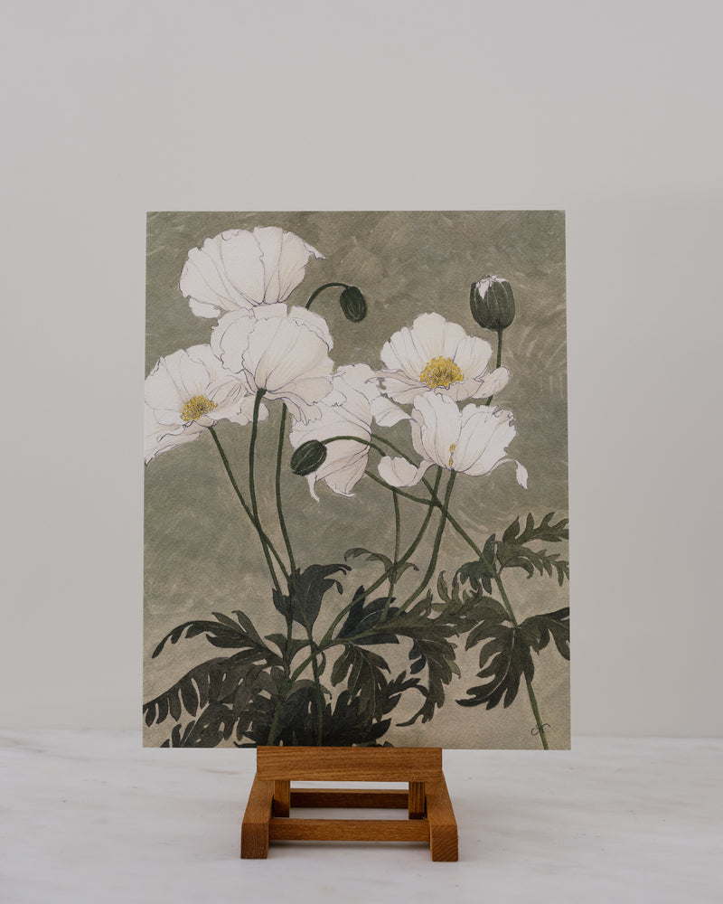 White Poppies Art Print