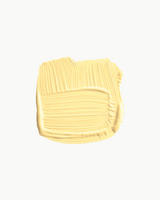 Dayroom Yellow - Paint No. 233