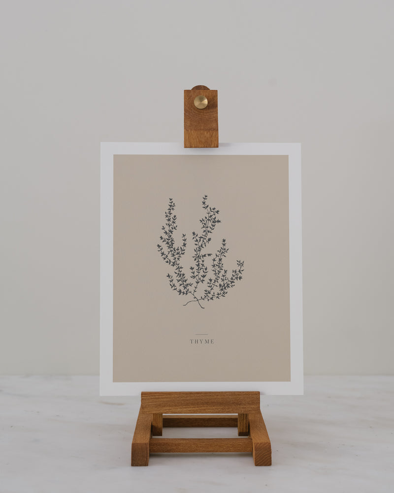 Thyme — Art Print