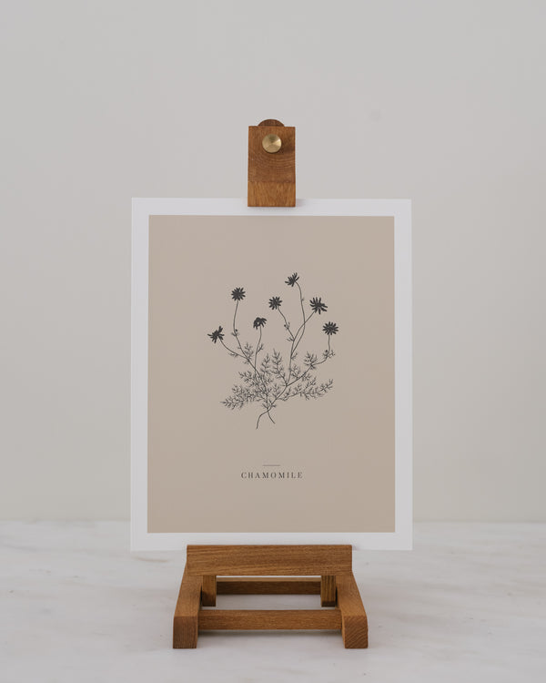 Chamomile — Art Print
