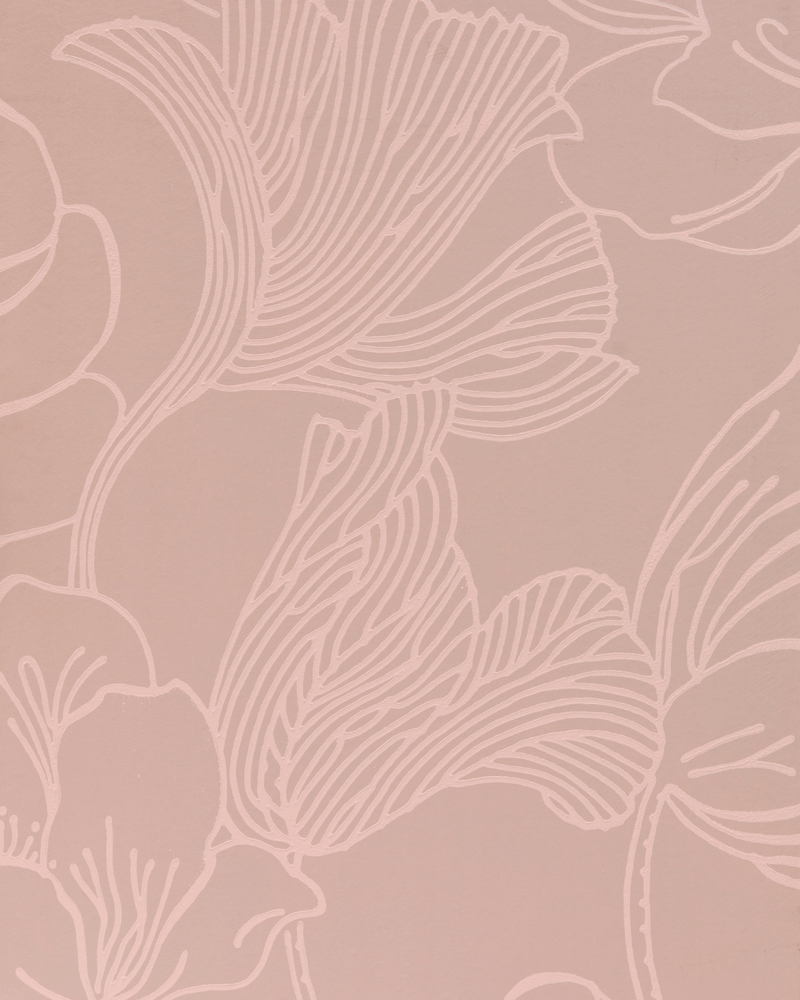 Helleborus Wallpaper