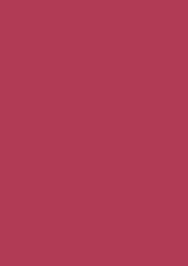 Paint Sample Board - No. 217 Rectory Red