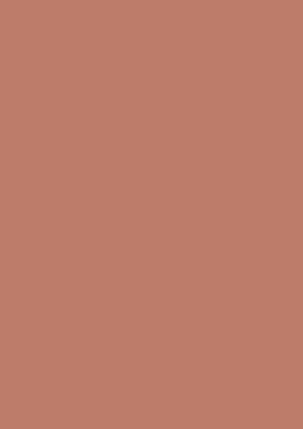 Paint Sample Board - No. 64 Red Earth