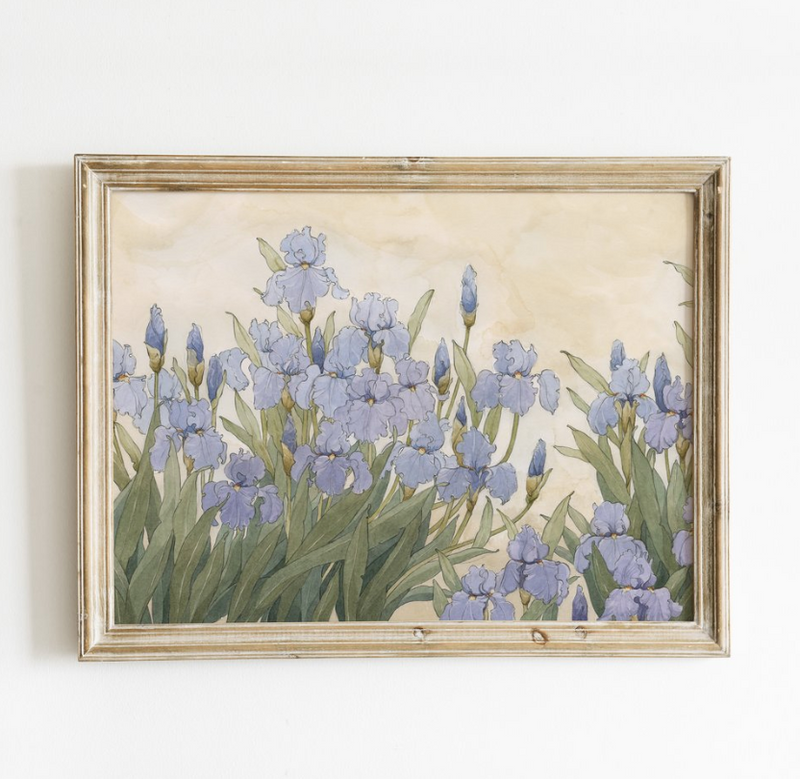 Garden Iris Art Print