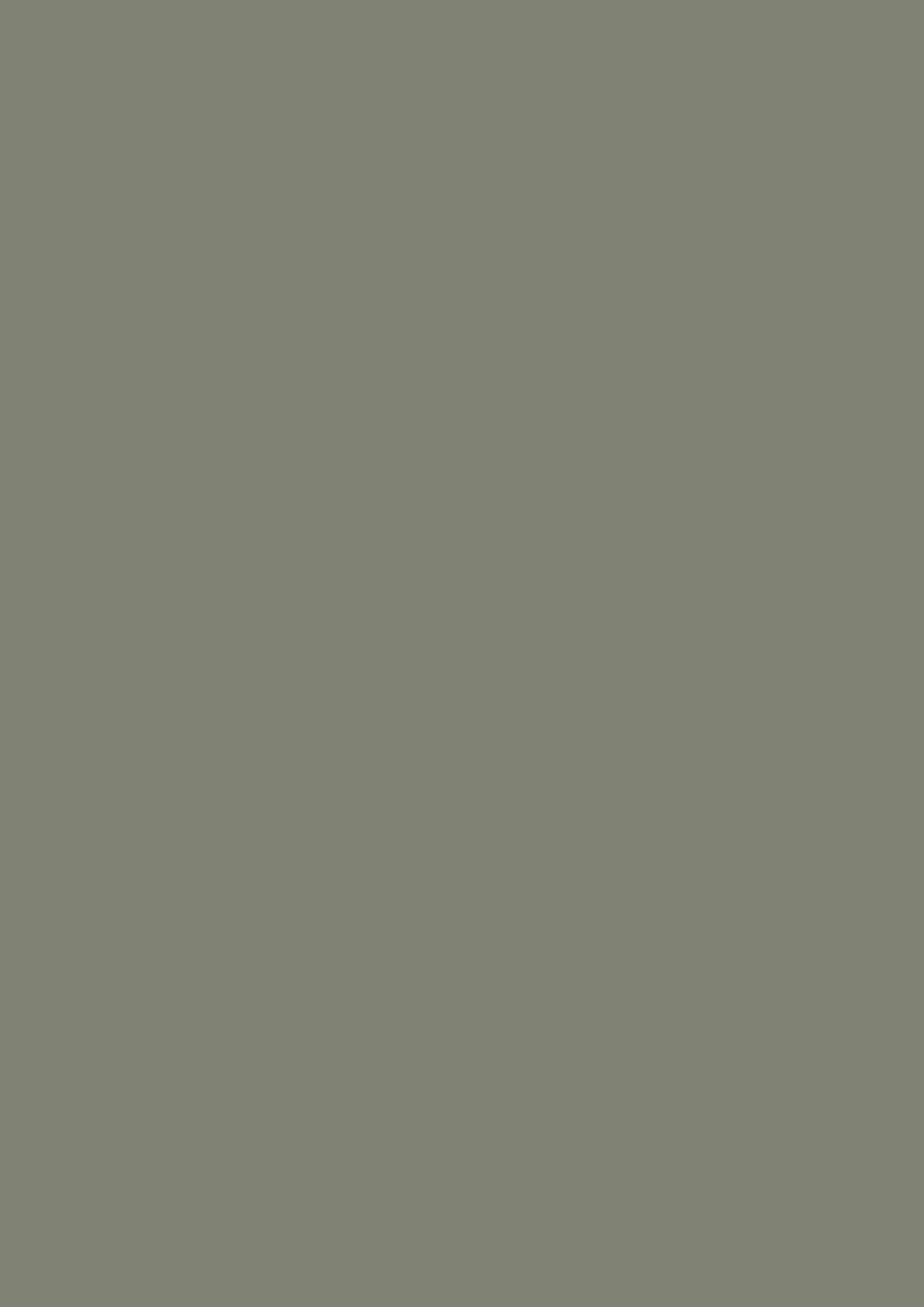 Paint Sample Board - No. 292 Treron – Whearley & Co.