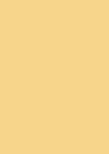 Paint Sample Board.- No. 218 Yellow Ground